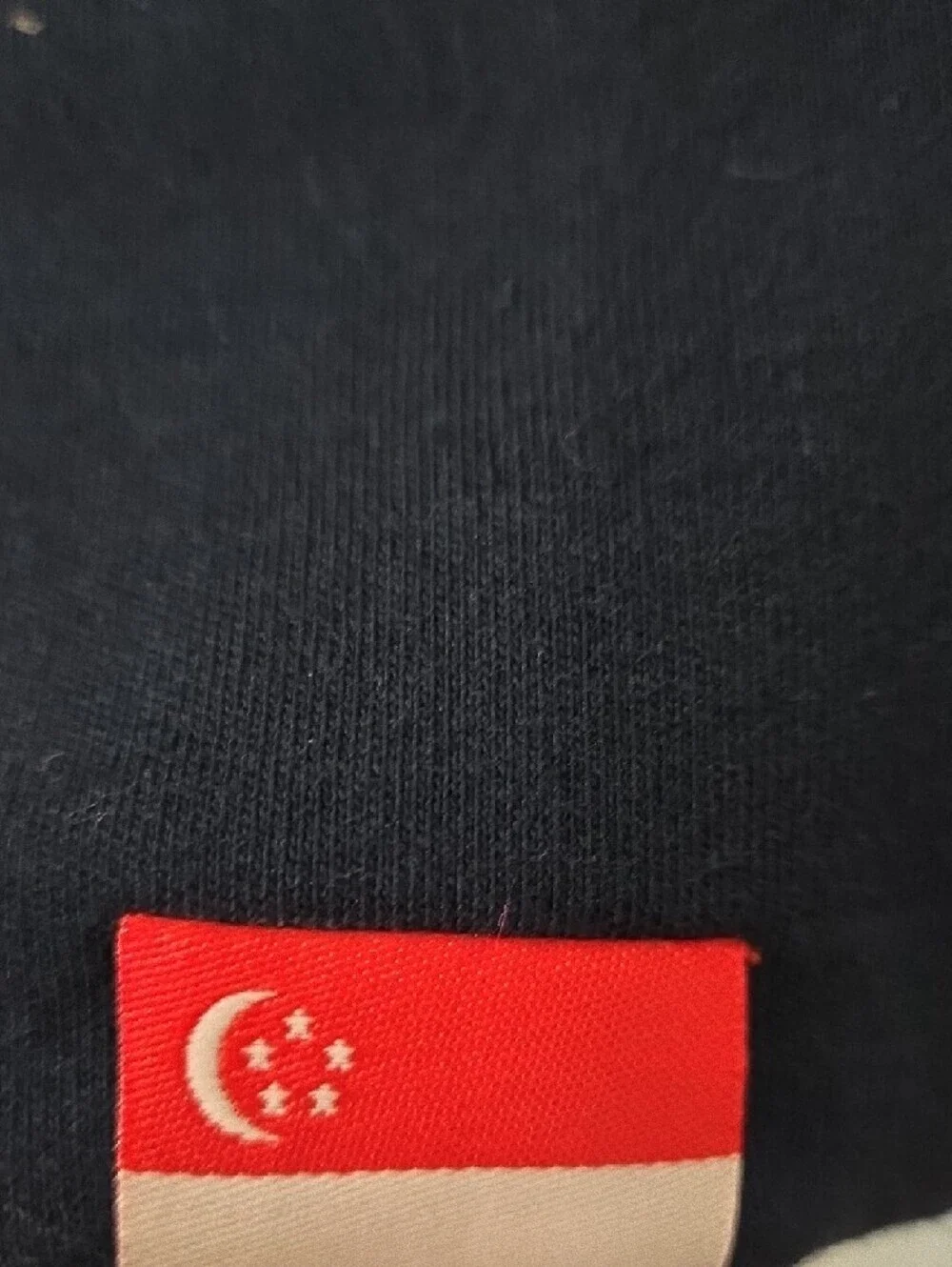 Formula 1 Singapore Grand Prix Navy Zipup